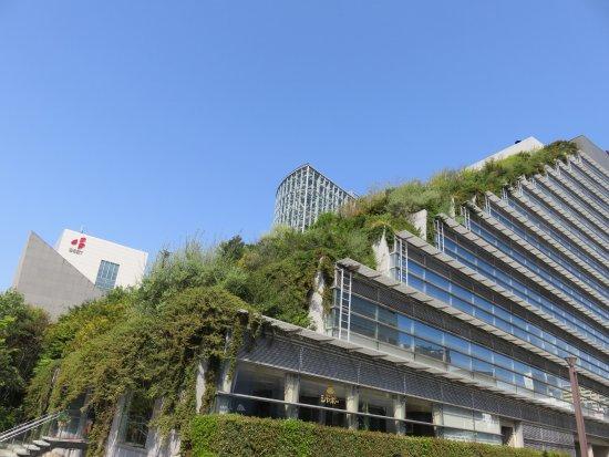 Centro Internacional de Congressos da Camara Municipal de ACROS Fukuoka